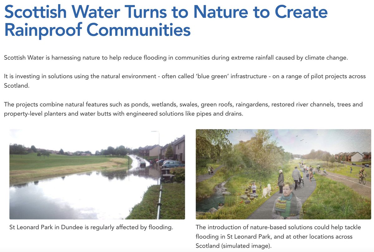 A great article from @scottish_water talking about how we're going to tackle rainfall and flooding using #naturebasedsolutions 🌊🌍 scottishwater.co.uk/About-Us/News-…