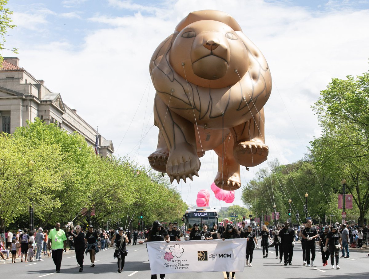 Ready for the #CherryBlossFestParade presented by @theeventsdc?🎉 We're thrilled to announce that some of our favorite balloons from last year are coming back, along w some NEW balloons: Shrek, Hello Kitty, Smurfette, & MORE! Tix still available: nationalcherryblossomfestival.org/event/2024-nat…🎟️🌸