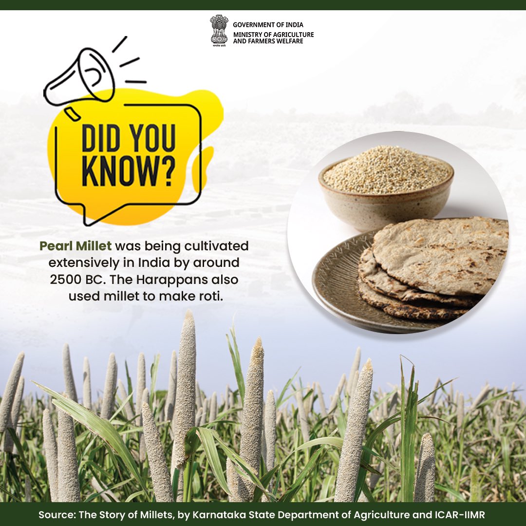 Millets: Cultivating heritage and nourishing traditions since 2500 BC. #IYM2023 #ShreeAnna #ancient #heritage