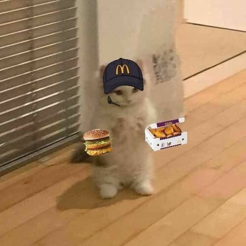 DOConSolana's tweet photo. @0xcongtam It's not bad, but it doesn't give away chips like I do.😼 https://t.co/e6YI0CSjsm