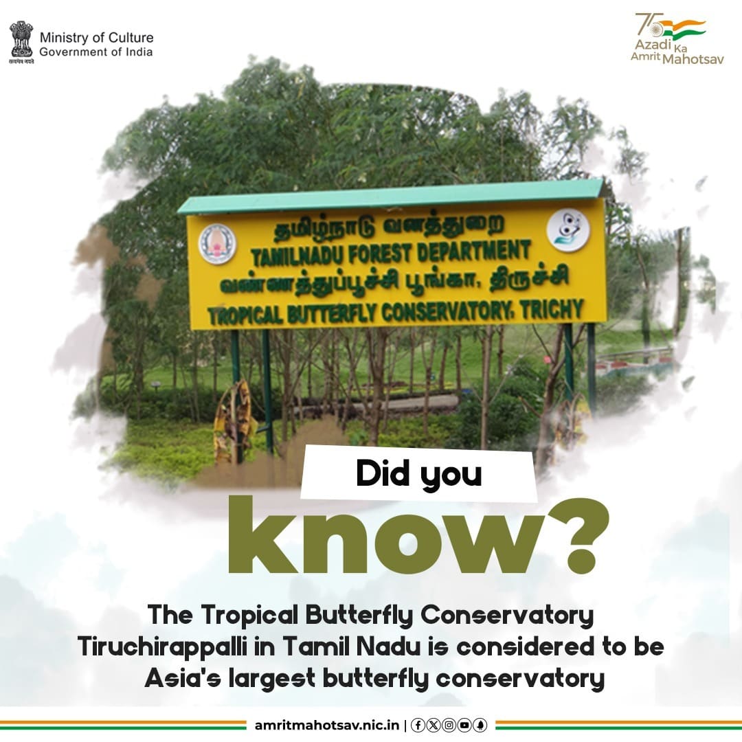 #DidYouKnow? The Tropical Butterfly Conservatory Tiruchirappalli is home to over 129 varieties of butterflies & also hosts around 300 plant species. 

#AmritMahotsav #CulturalPride #CultureUnitesAll #MainBharatHoon