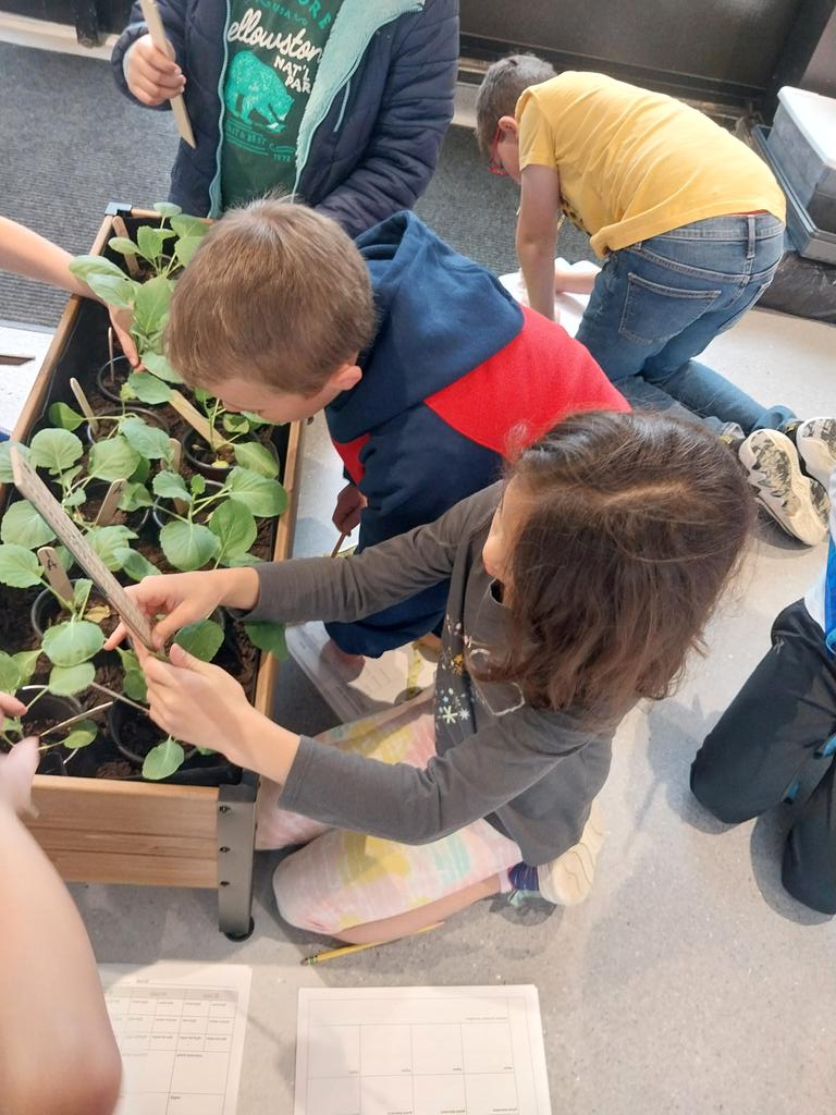 Mary Blackwell tweet media