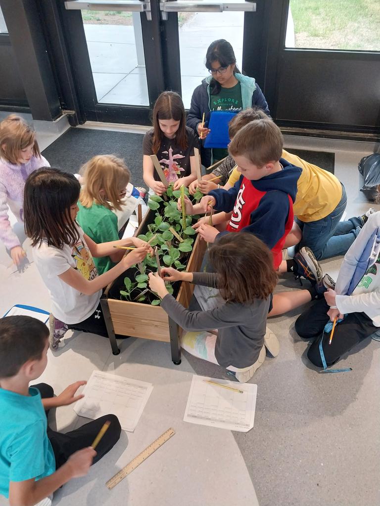 Mary Blackwell tweet media