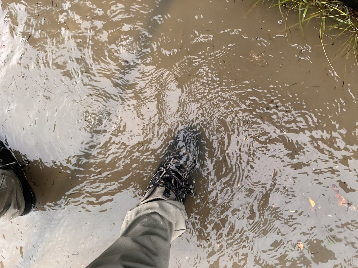 Wading into the office. And this is just the first of several ⛈️ storms today…