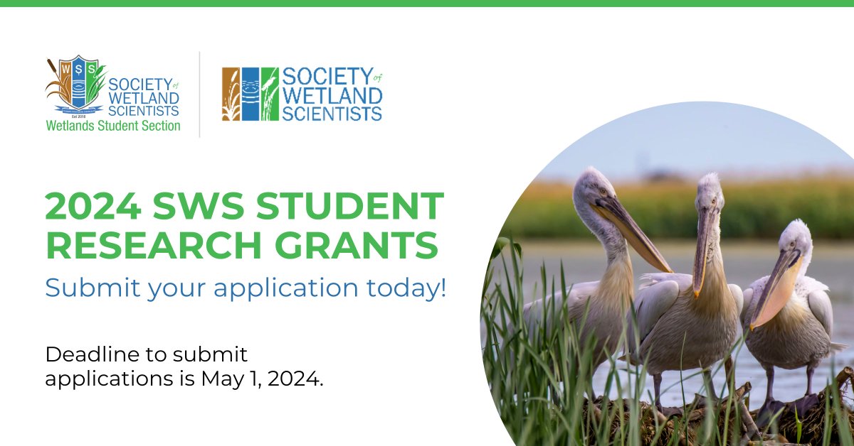 🌿 The 2024 Student Research Grant applications are open! If you're an undergrad or grad student diving into the world of wetland science and haven't yet received an SWS Research Grant, this is your chance to shine. Apply here: sws.org/student-resear…