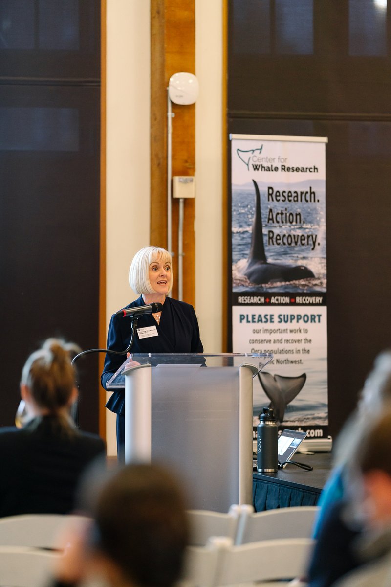 Ken Balcomb - who founded the Center for Whale Research - has been awarded a posthumous honorary degree from @UniofExeter The honorary degree ceremony was held at Seattle Aquarium on Monday Read more here 👉 news.exeter.ac.uk/faculty-of-hea… @ExeterMarine @Exalumni