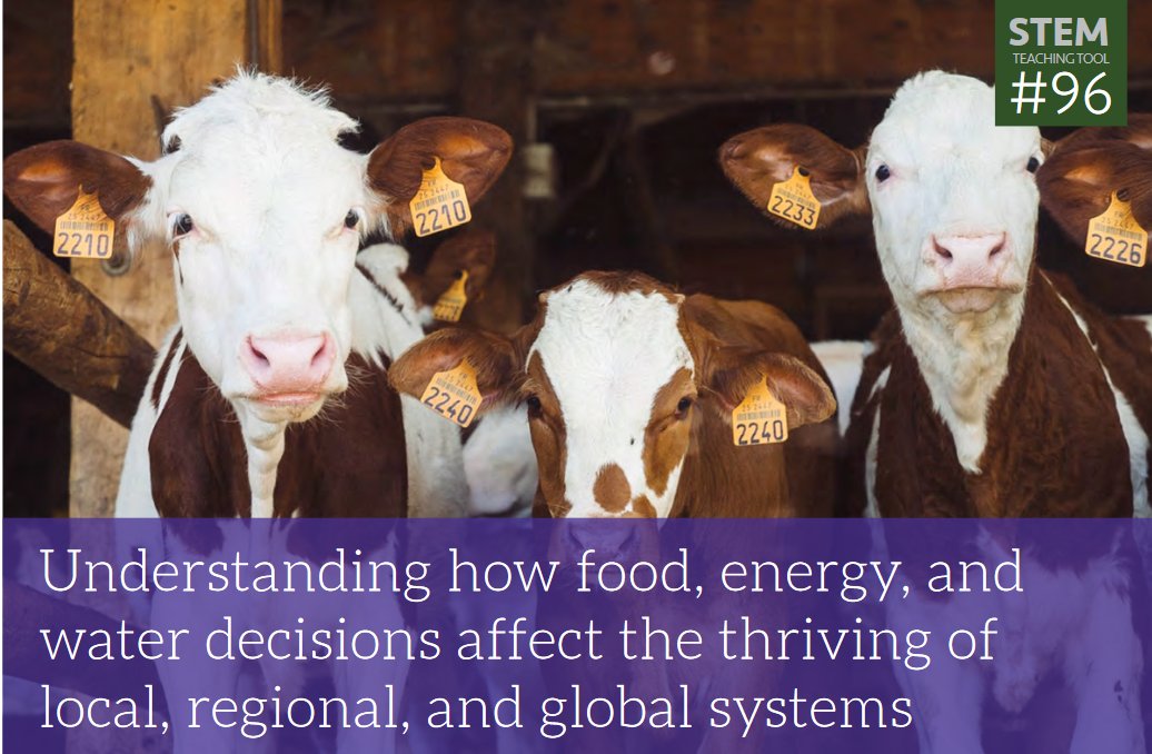 Science classrooms are a key place to examine the human and natural systems related to food, energy, and water. This @STEMTeachTools describes considerations and recommended actions to connect instruction to how students interact with these systems: stemteachingtools.org/brief/96