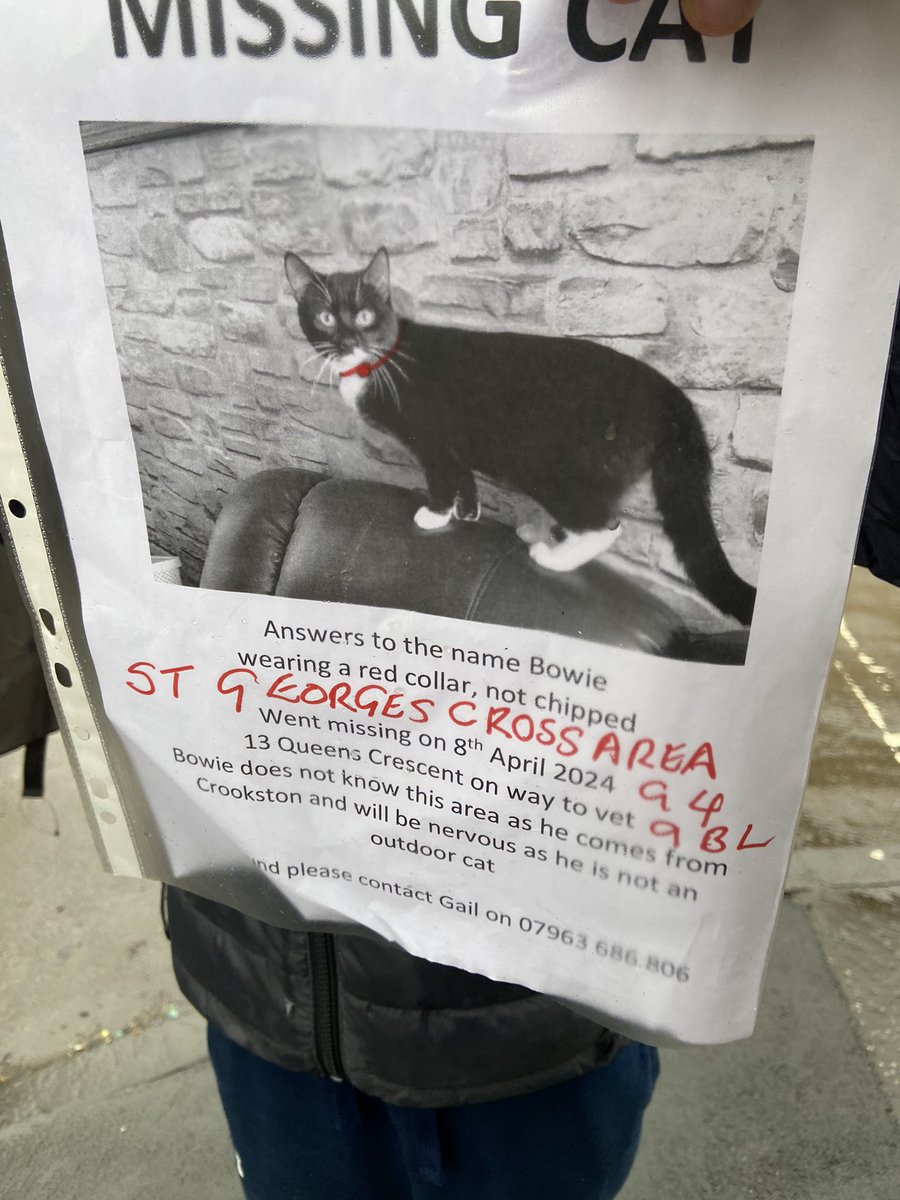 A wee boy just came up to me in the street & got me to take a photo of his missing cat poster so I thought I should share it Went missing in the St. George’s Cross area if anyone sees them 🐈‍⬛ x