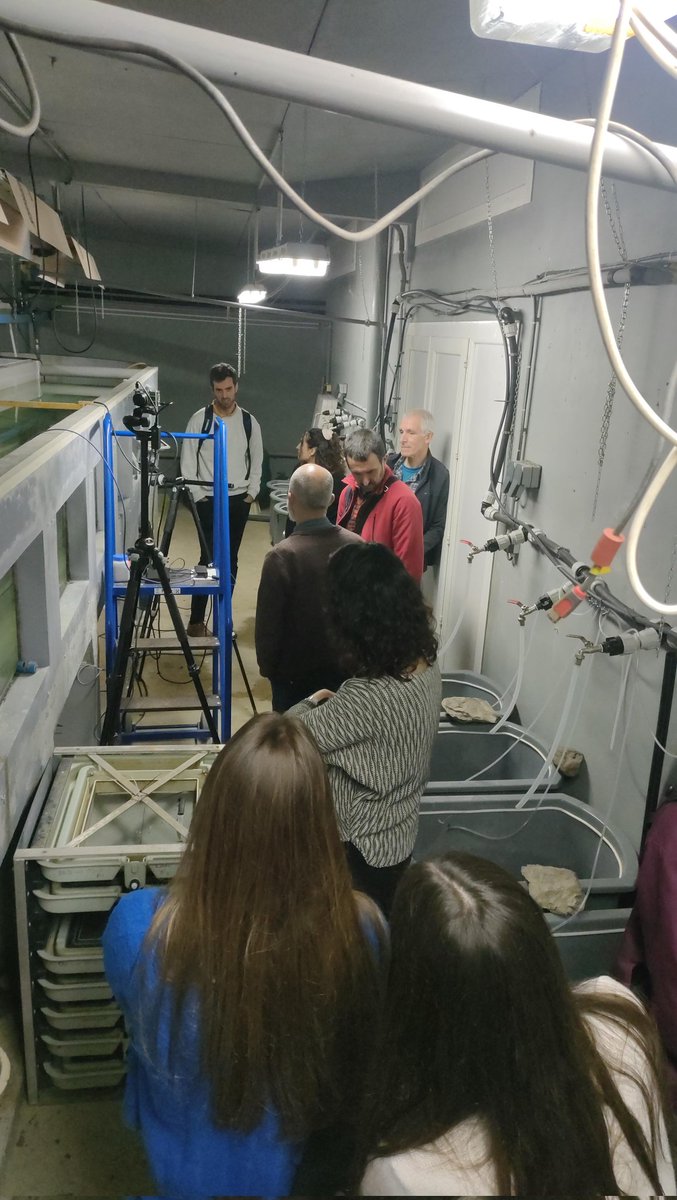 EhuStream's tweet photo. Meeting at the INRAE facilities in Senpere to discuss the next experiment @inrae_ecobiop @upvehu #streamcursion #streamtxangoa https://t.co/NlWEbHKlk9