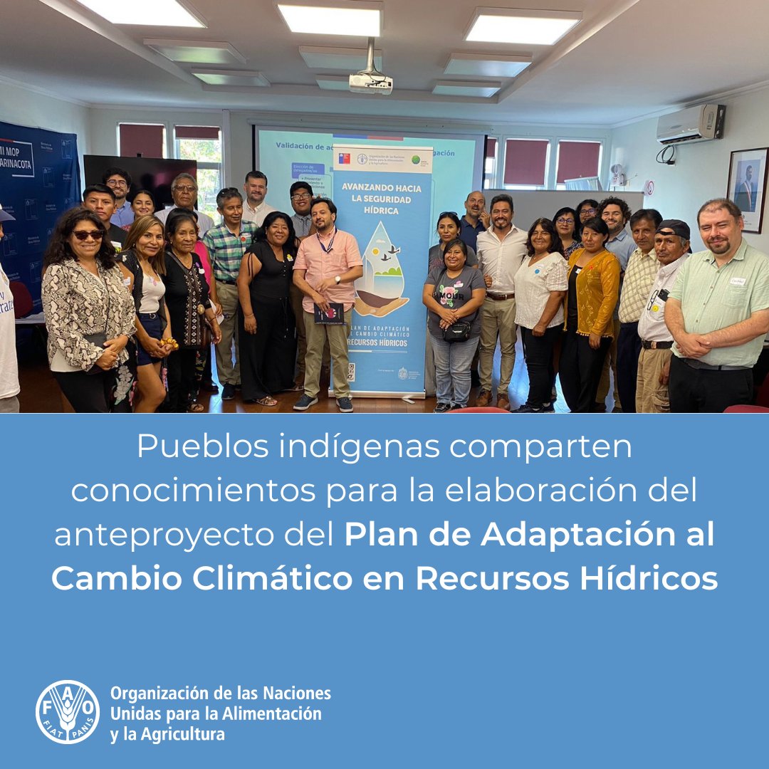 📌Durante marzo y abril se realizan talleres participativos con pueblos Aymara, Quechua, Atacameño, Colla, Chango, Diaguita, Rapa Nui, Mapuche, Yagán, Kawashkar y Selk’nam para elaborar Plan de Adaptación al Cambio Climático en Recursos Hídricos.

➕info: fao.org/chile/noticias…
