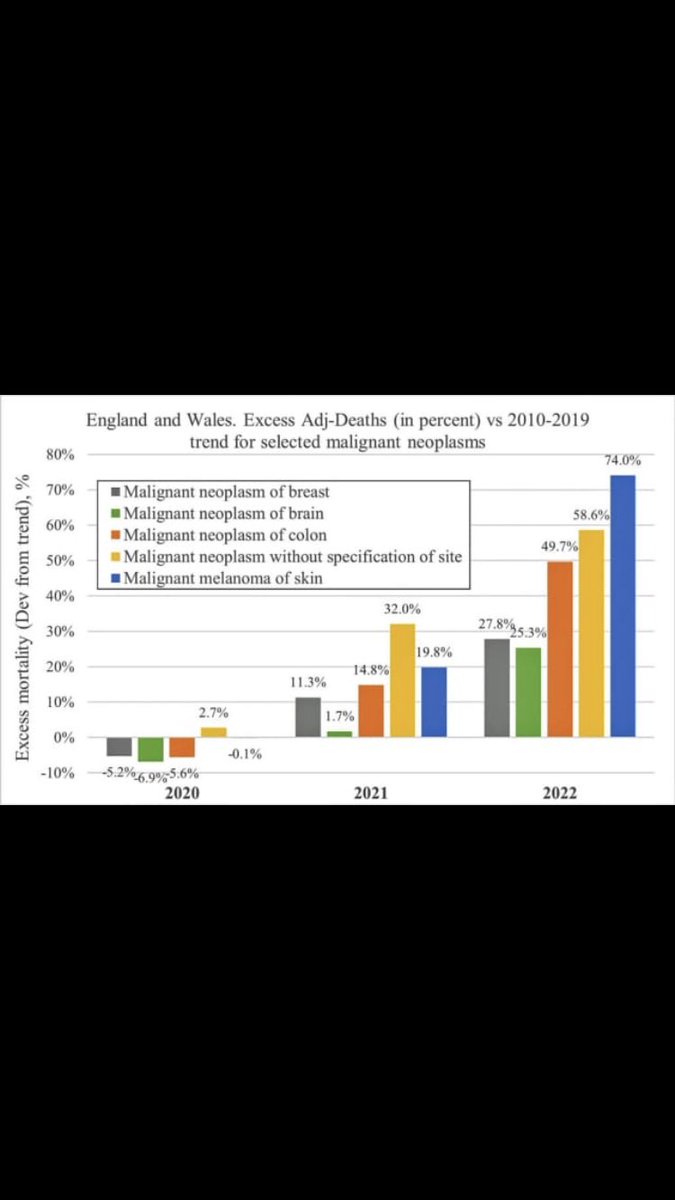 Prof Angus Dalgleish: 'FYI . . . Since the roll-out of COVID-19 vaccines, there has been an unprecedented rise in the deaths of young people between 2021 and 2022 from rapidly metastasizing and terminal cancers, according to data from the UK’s Office for National Statistics…