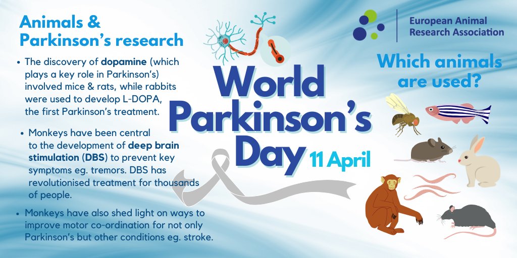 Today is #WorldParkinsonsDay! #AnimalResearch has led to significant advances in treating tremors & motor problems in people with #Parkinsons – and contributing to progress towards a cure.