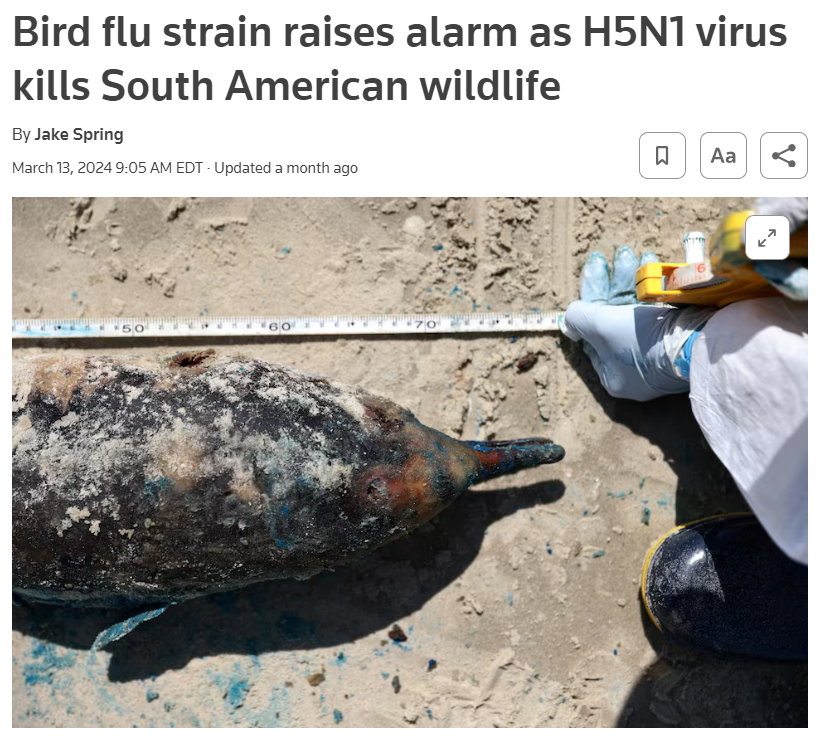 The deadly H5N1 bird flu virus has spread in wild birds & marine mammals since arriving in South America in 2022, reports @jakespring of @Reuters. It has killed a handful of dolphins in Chile & Peru, 50,000 seals & sea lions, and many birds regionwide: tinyurl.com/5e9syfcr