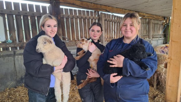 Wigfield Farm’s Spectacular Student Spring Show Returns barnsleytoday.com/wigfield-farms…