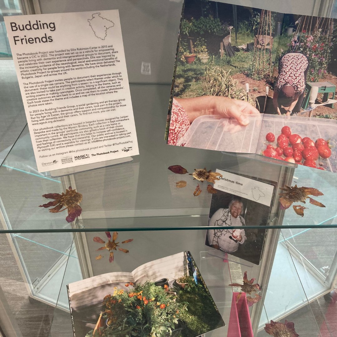 Head over to @ExeterLibrary where the collection of photobooks from our project with Budding Friends is on display!🌼