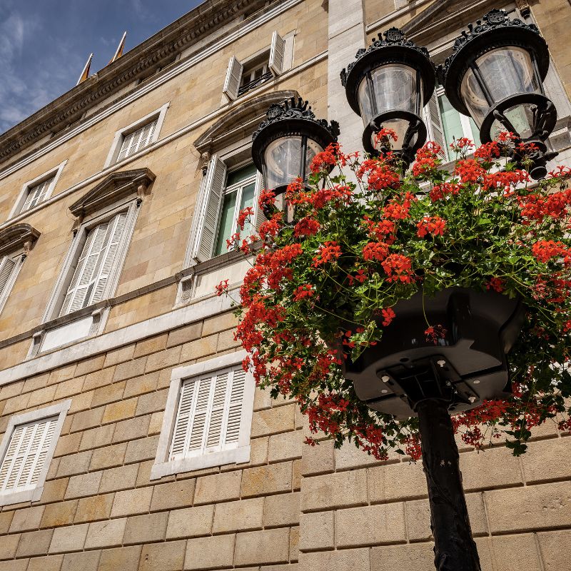 El Govern ha aprovat aquest dimarts l’avantprojecte de llei dels  instruments de provisió del sistema públic de serveis socials de  Catalunya per tal d’enviar-la al Parlament tan bon punt s’iniciï la  pròxima legislatura.

forumsalutmental.org/ca/noticies/21…