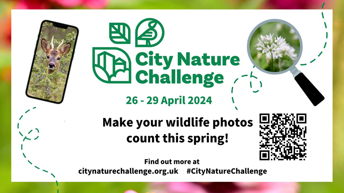 🌿📅 Less than 3 weeks until #CityNatureChallenge kicks off! 🌍 Don't miss out on the chance to generate and verify #CNC records, bolstering the evidence base for LERCs like @iGiGL📊🔍 Join @NHM_CitSci on the @iNaturalist app from April 26th to 29th and be part of #CNC2024! 🏙️🌳