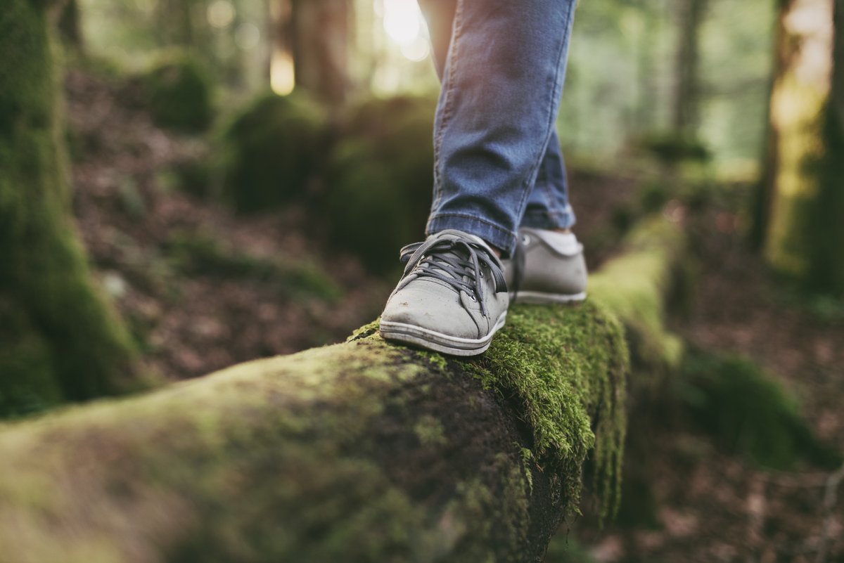 BALANCED WEDNESDAY 💚🍵☕️ “Walk as if you are kissing the Earth with your feet.” ― Thich Nhat Hanh Wishing you all a natural, balanced and loving day 💚🙏☯️🌸👣