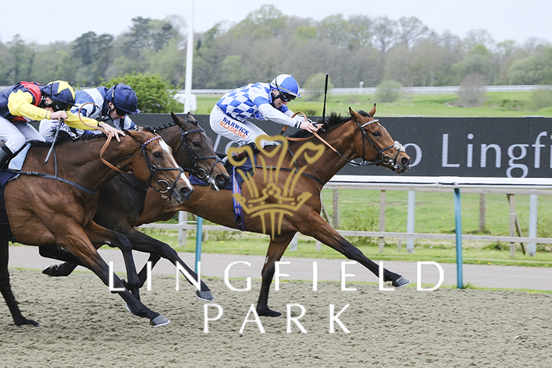 RACE 4 RESULT - Download The Racecourse App @Raceday_Ready Restricted Maiden Stakes 🏆 Machete Beach Jockey: Trevor Whelan Trainer: @HarryJCharlton Owner: Mr D J Deer