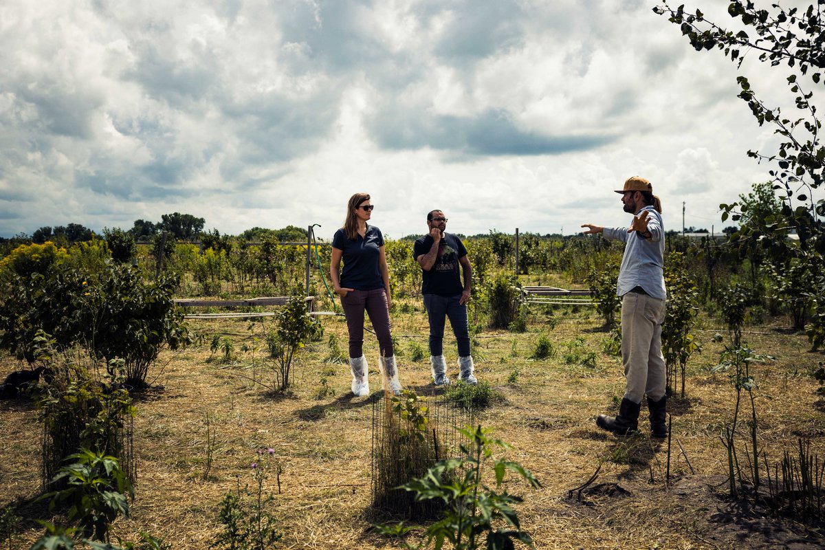 Are you interested in silvopasture, laying hen operations, & whole-farm planning?🌳🐓🌲 Join us on 5/18 at the @EJCArboretumJMU for our Agroforestry Field Day! This event is hosted with @SouthernSARE and @VACoopExt. Visit tinyurl.com/agroforestry-d… to learn more and register!