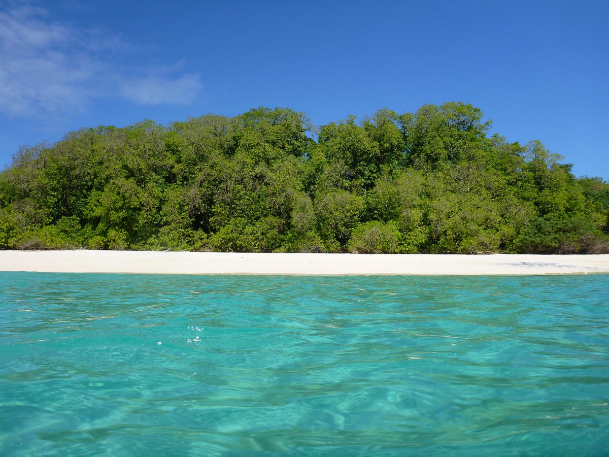 The protection of the @gbrmarinepark has been further boosted by the addition of 140 islands within the marine park to QLDs protected areas estate. Lands secured under this project contain significant conservation values, ensuring ecological values are preserved. @QldParkAlerts