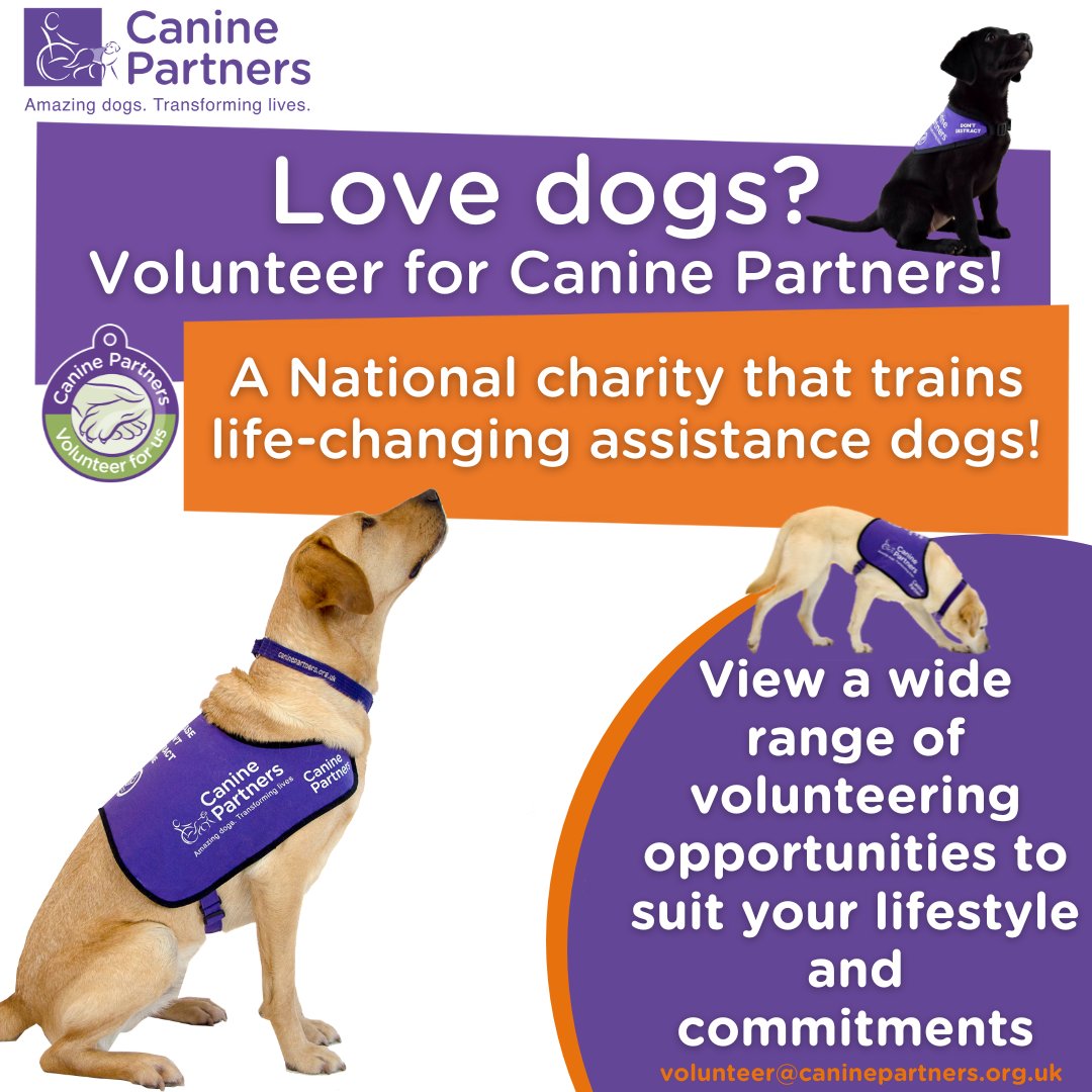 Canine Partners offers many different volunteering roles - volunteers are at the heart of what we do! Help us continue our life-changing work by becoming a volunteer today. Find out more caninepartners.org.uk/volunteerforus/