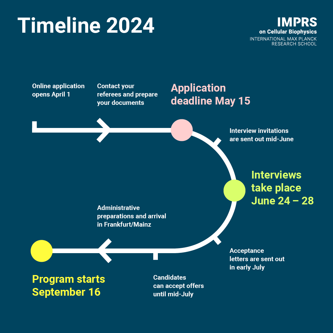 Step-by-step through our application process 👣If you want to start your #phdjourney in our #gradschool, check out our map, so that you don’t get lost on the way 📷#Apply by May 15! 📷 imprs-cbp.mpg.de/call-for-appli…
@goetheuni
@uni_mainz
@fias_science
@MPIbp
#phdposition #hiring