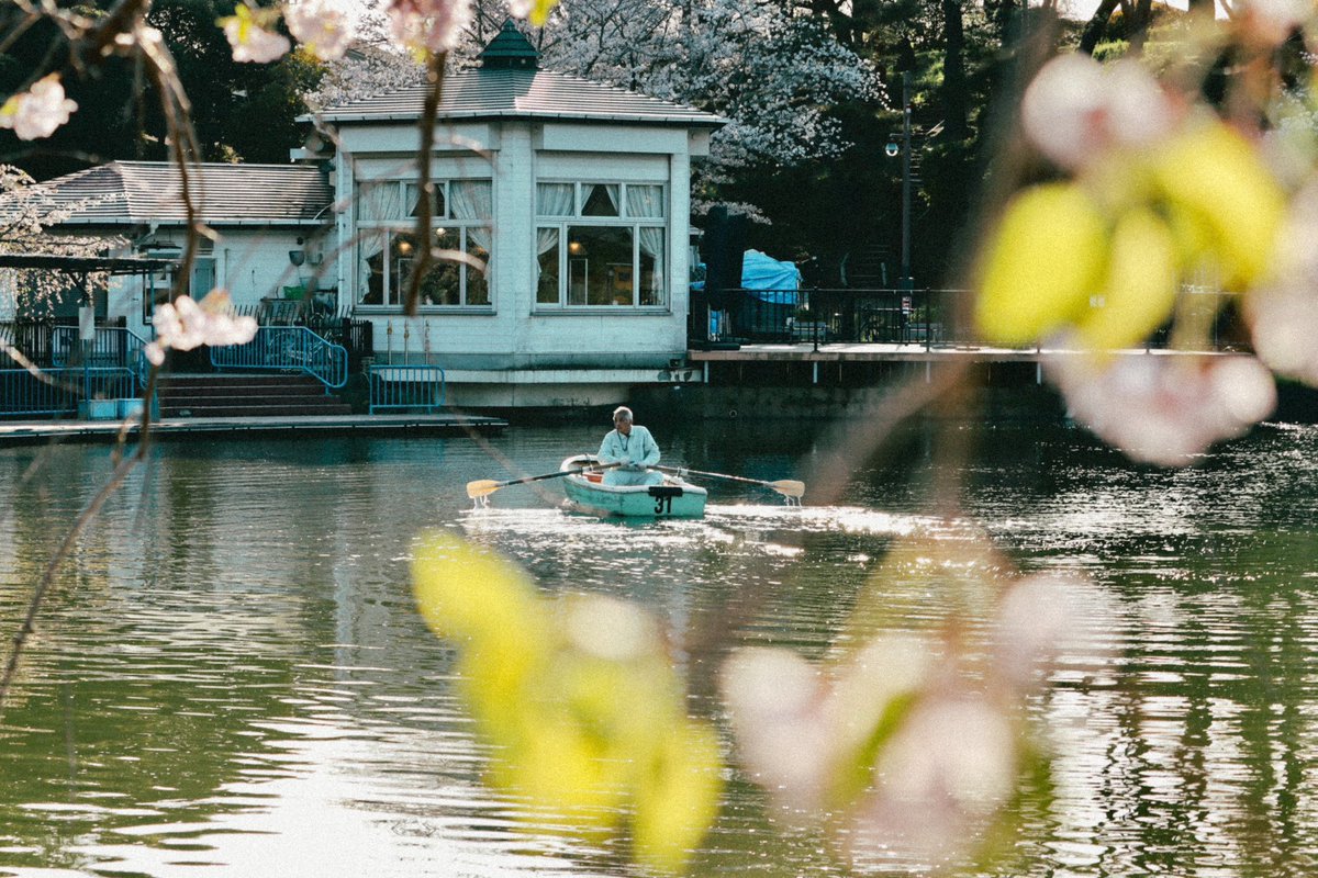 たくさん桜の写真を撮ったけれど
なんだかぐっときたのは
この一枚、だった日。

#photograghy #canonphoto