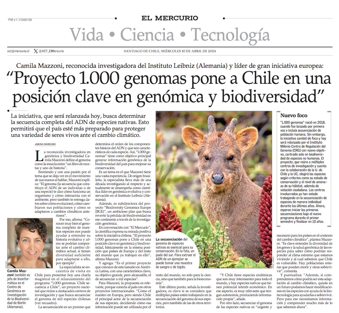 'Proyecto 1.000 genomas pone a Chile en una posición clave en genómica y biodiversidad', dice Camila Mazzoni, investigadora del Instituto Leibniz (Alemania) y líder de gran iniciativa europea. #VCTElMercurio shorturl.at/NQWZ9