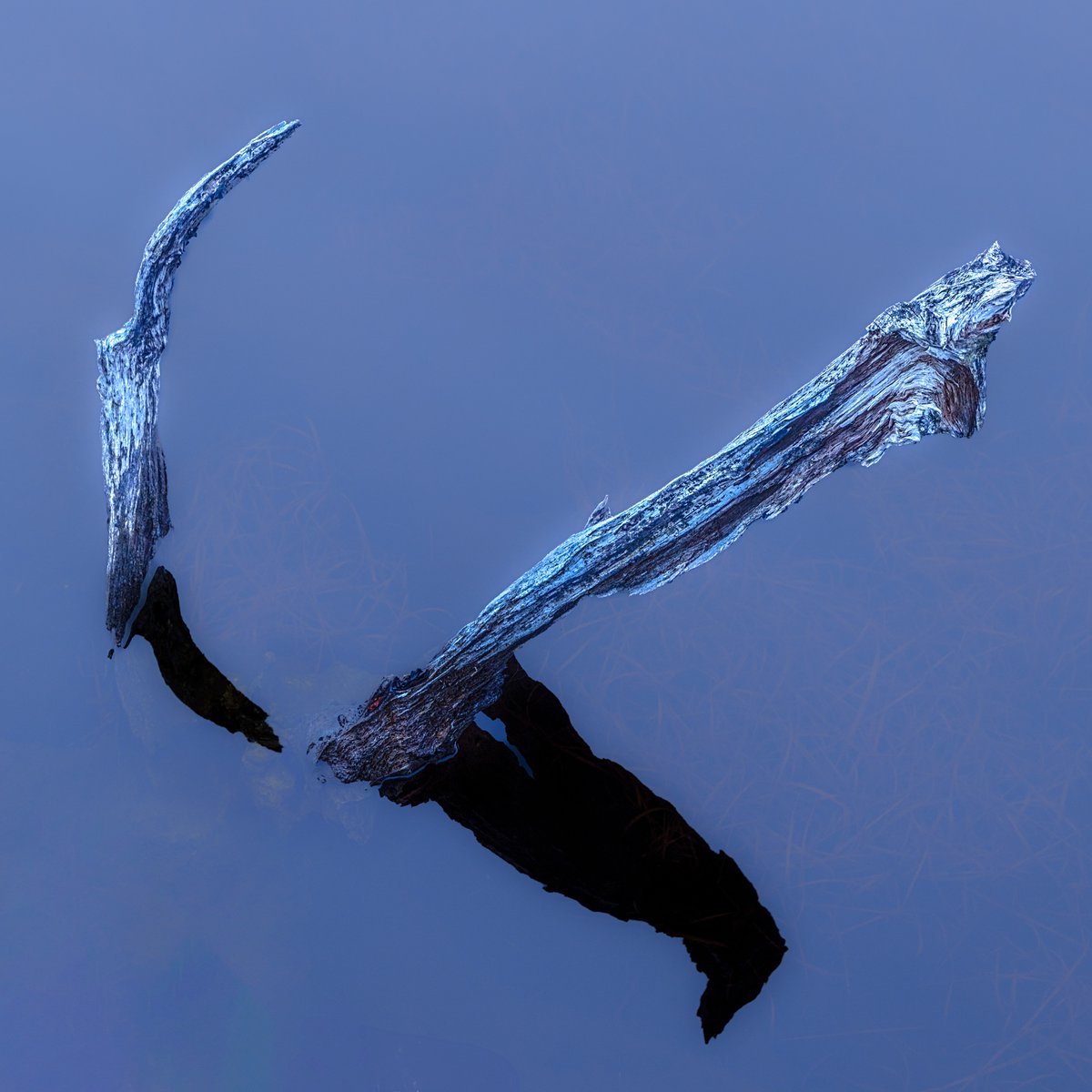 On a beautiful calm evening at Roundstone Bog in Connemara a few weeks ago. I was fascinated by these pieces of bog oak (?) in a small lake by the side of the road.