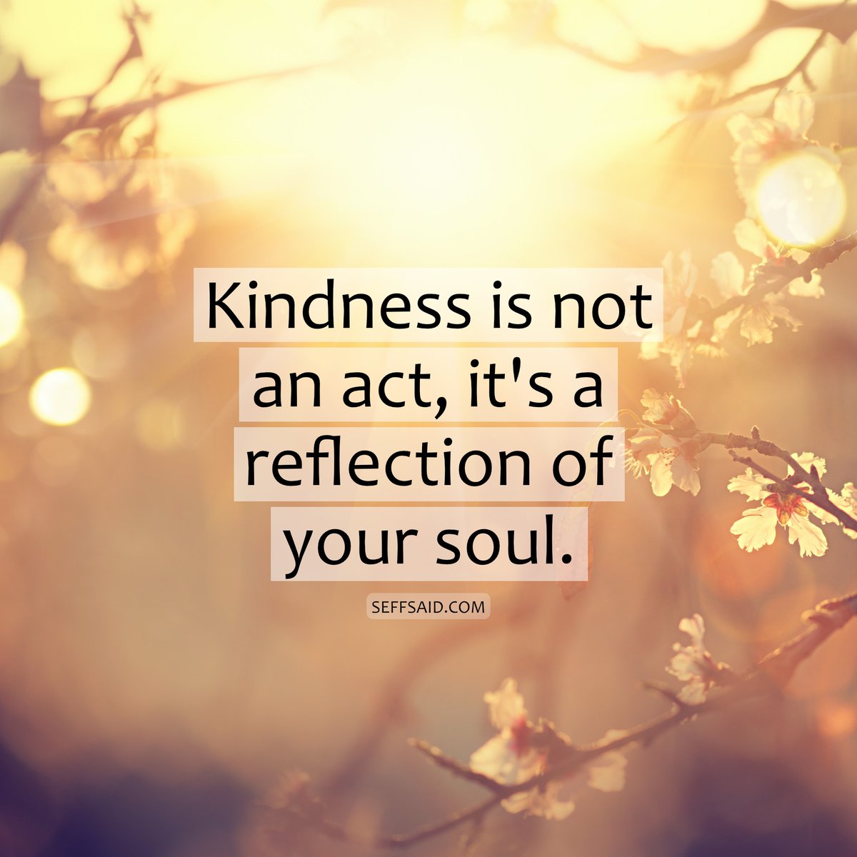 Inspirational Quotes tweet media