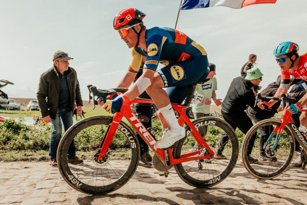 Joe Timms tweet media