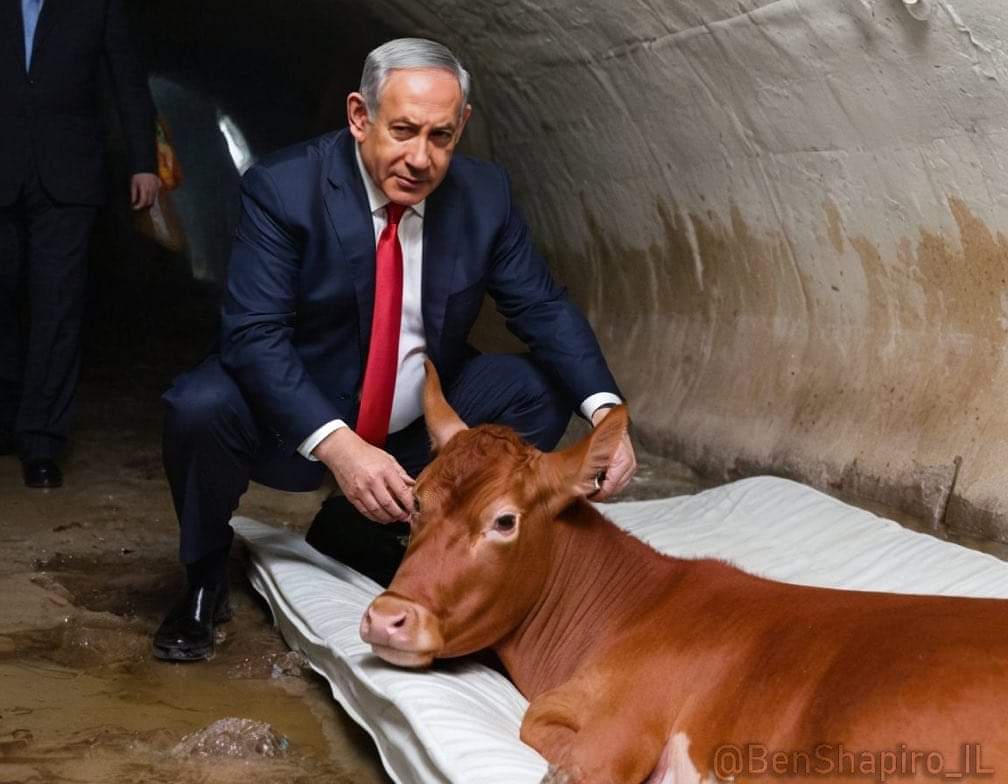 Uyanın bu kareye iyi bakın Netanyahu ve tünelde kırmızı düve! ABD’li Evanjelistler ve İsrailli aşırı dinci grupları heyecanlandıran 3. Tapınak kehaneti 2 bin yıl önce inşa edilen Süleyman Tapınağı’na dayanıyor. Mescid-i Aksa yıkıp üçüncü tapınak inşaa etmek.