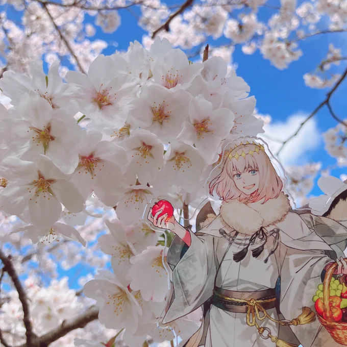こないだ撮ったかわいい推したちと満開な桜の写真でも見て一旦落ち着こう 