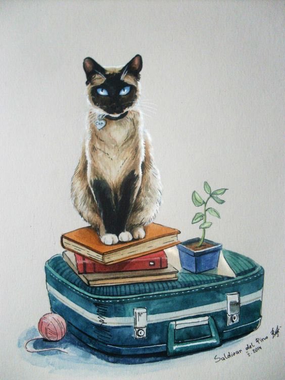 Reading with cats (@bookcatbliss) on Twitter photo 