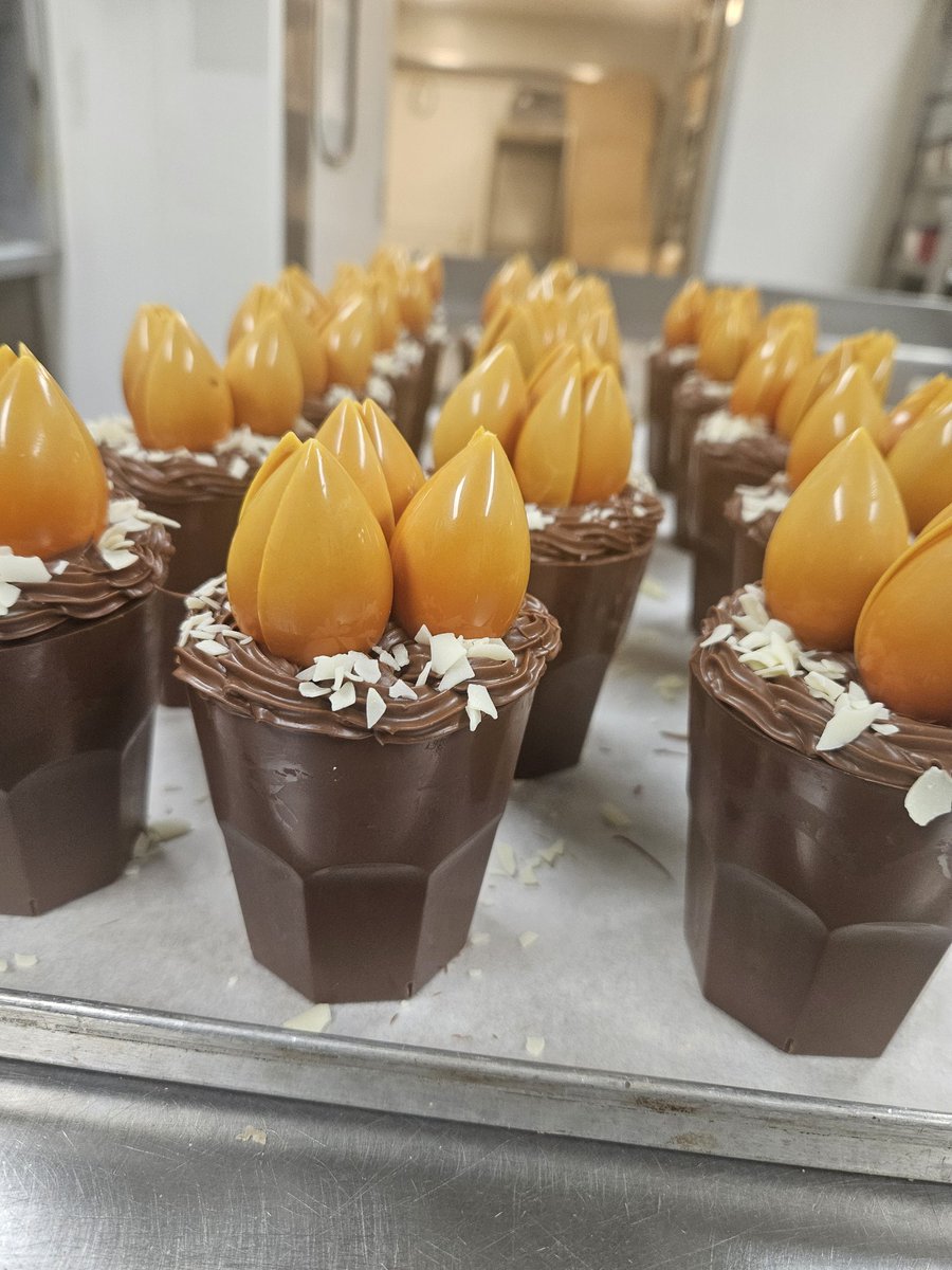 18 April secretaressedag 🌺🪻⚘️
DAT VERDIEND EEN BLOEMETJE   en een lekker bloemetje 

Wij heb prachtige bloempotjes in leuke verpakking voor jullie secretaresse. 
En kan met kaartje voor persoonlijke boodschap