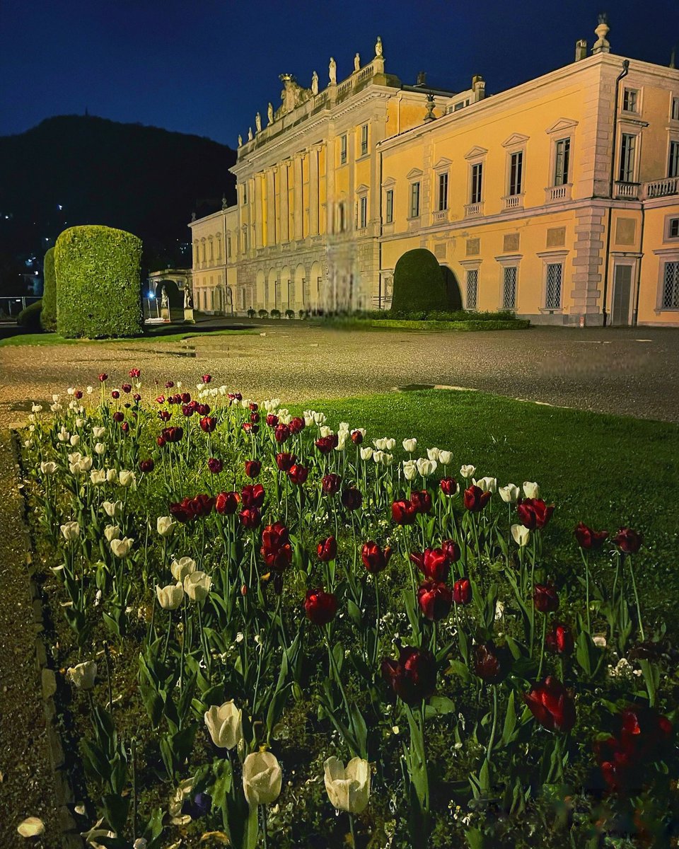 #comolake #como #italy #villaolmo #flowers #tulips #giardini #italia #fiori #lagodicomo #bellezza #bellezzeitaliane #notte