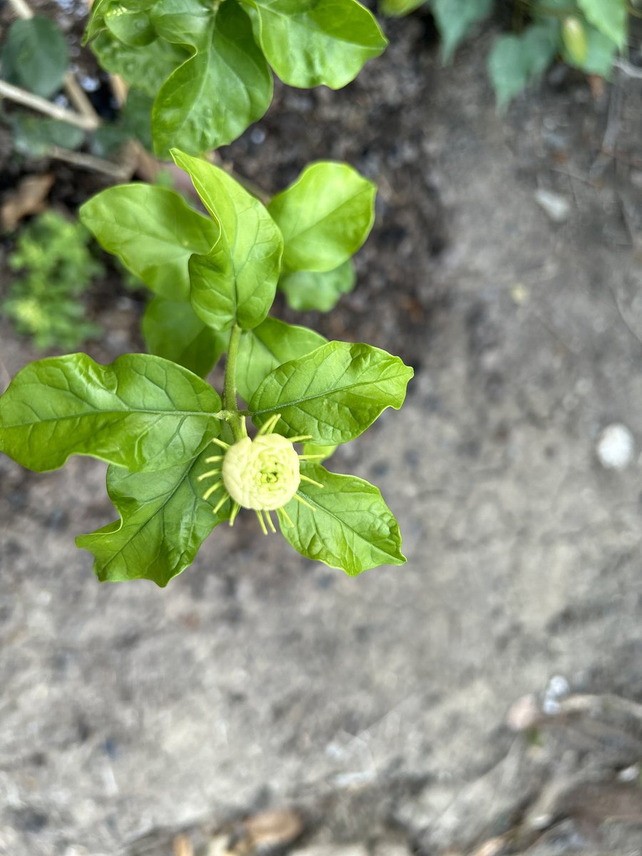 แค่นี้ภูมิใจละ