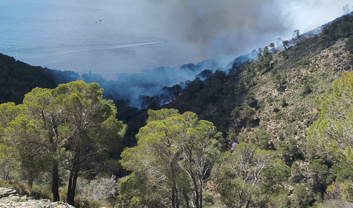 Incendi forestal #IFCostaDelsPins actiu
Canvi a gravetatpotencial 1 12:47
#SonServera #Mallorca
@ibanat_IB @BombersdeMca
@Emergencies_112