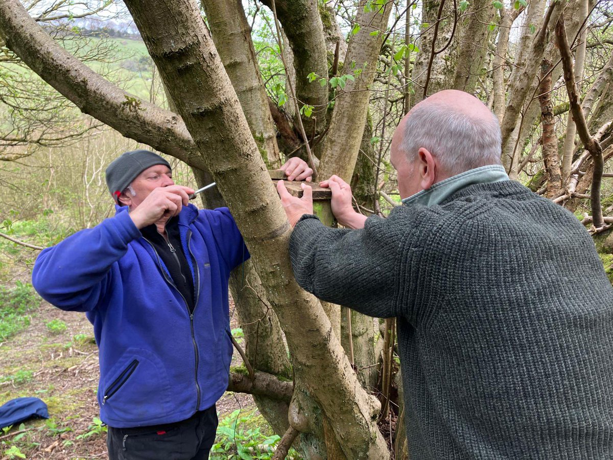 A great day on Monday with our volunteers, putting up nest boxes for the rare and elusive dormice! We’ll be monitoring the boxes throughout the Spring & Summer and hoping to find some residents🤞 @RowantNNR