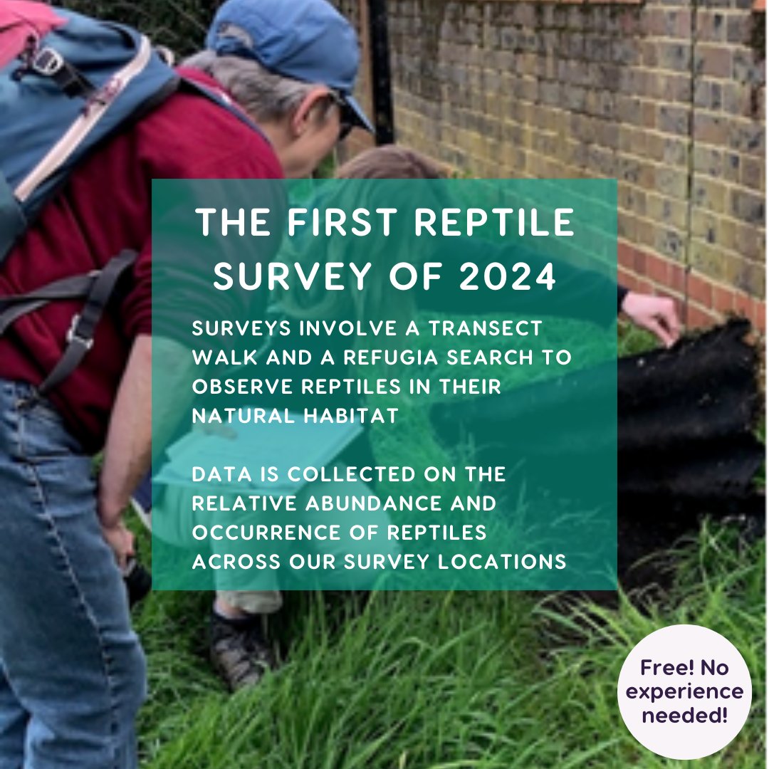 A volunteer team, led by our Citizen Science Officer, completed their first reptile survey of 2024, as part of the National Reptile Survey. Stay tuned for what we find on upcoming surveys! 🐍New volunteers are welcome! For more information, email biodiversity@enablelc.org