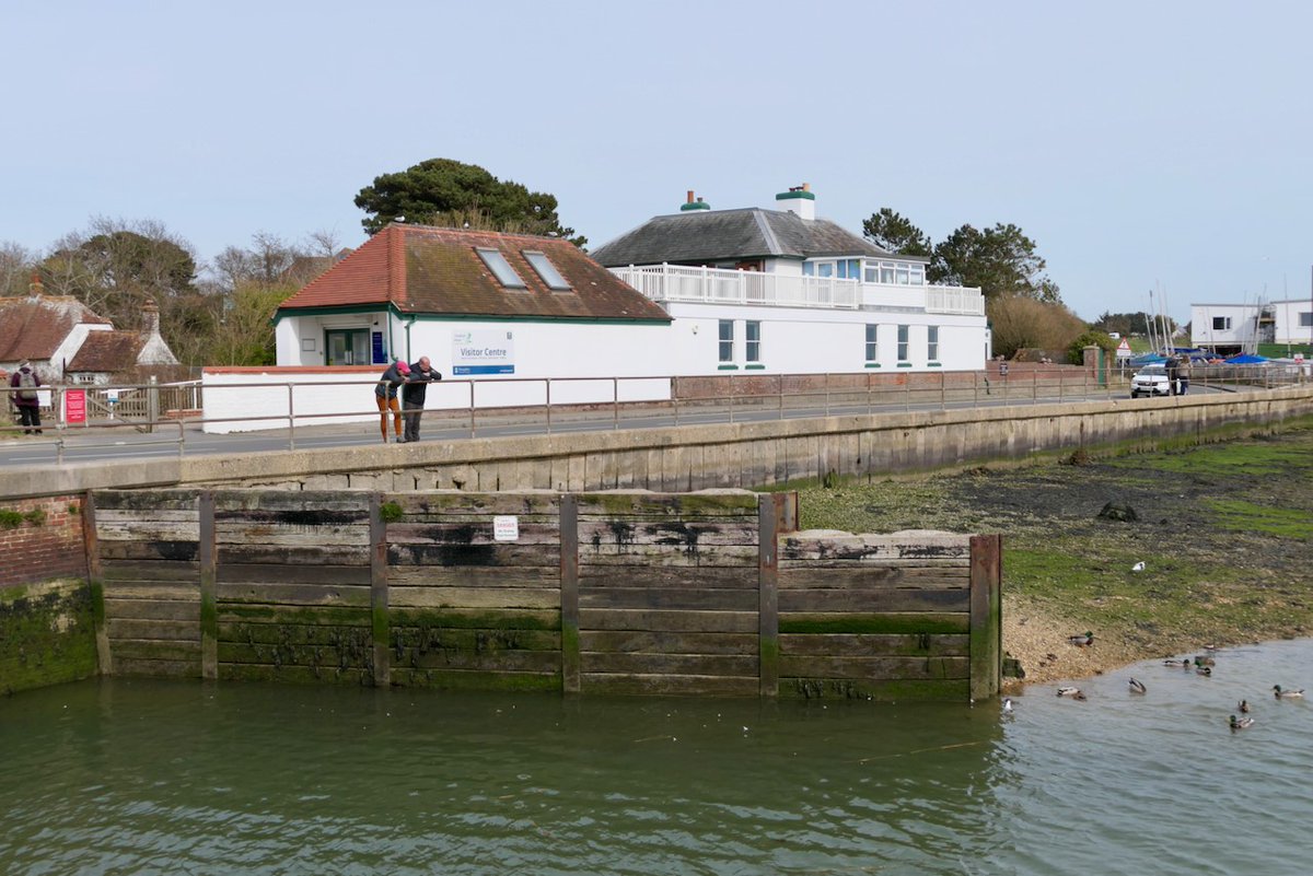 Sat, 13th April - Titchfield Haven NNR, Hants, PO14 3JT - FREE all day trip. Meet 10am Visitor Centre. Park public carpark nearby or sea front🩵 Opportunities to see many wader species, sea birds Mediterranean Gulls +Bearded Tits... Walk taken at own risk. (Paul Briggs image)