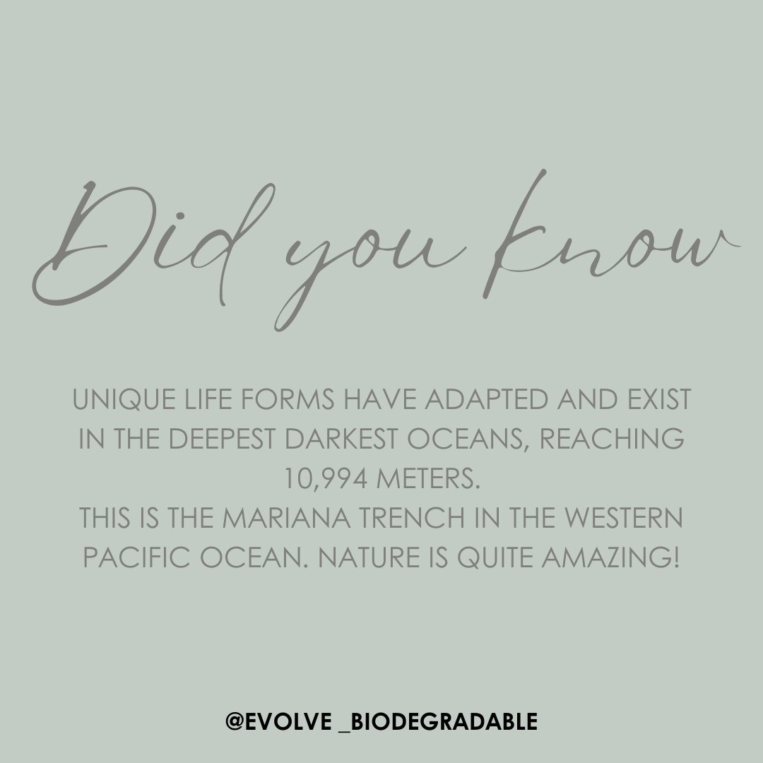 Did you know about the Mariana Trench?👀 Shop Online: evolvebiodegradable.co.za #evolvebiodegradable #sustainabilitymatters #plantbasedskincare #healthyhome #environmentallyfriendly #chemicalfree #veganfriendly #veganskincare #greenbeauty