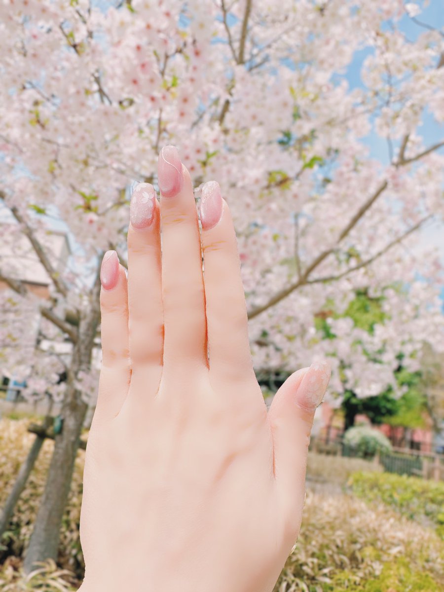 桜ネイルと桜🌸