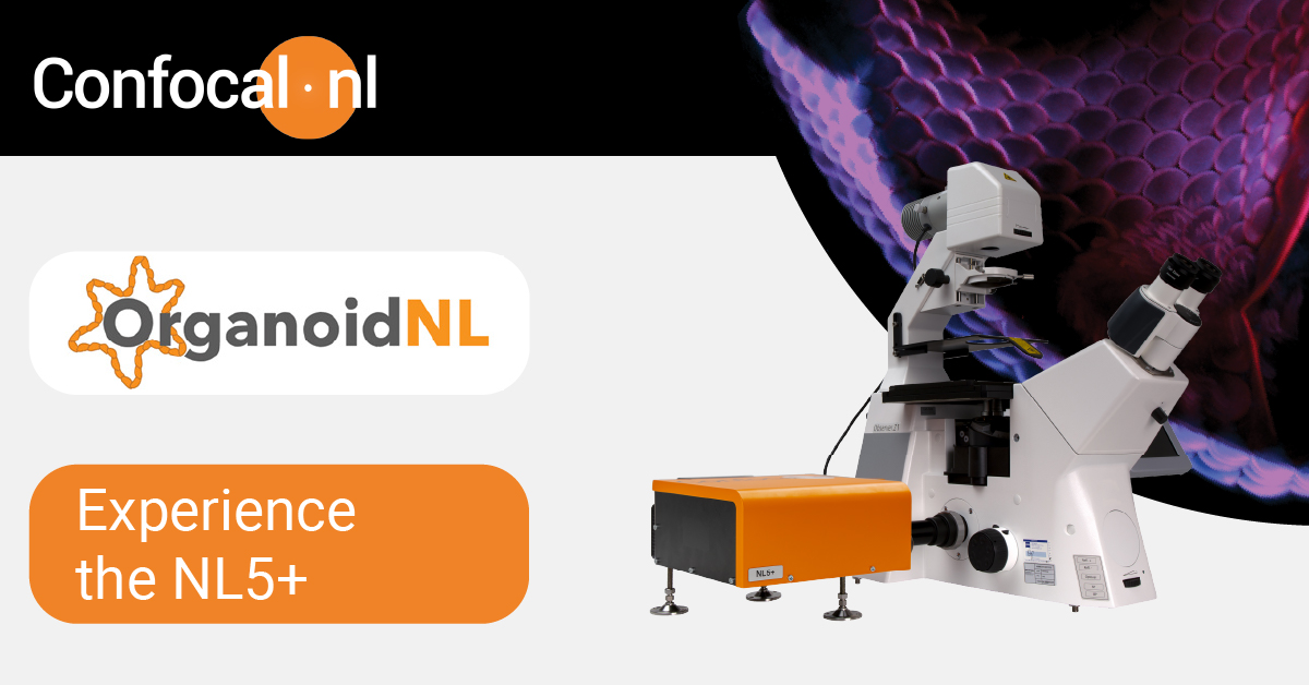 Attending the Organoid NL Symposium 2024, April 12, at @_amolf? Visit our booth and learn how you can observe with minimum phototoxicity intricate dynamic events during organoid growth and development in real time. Achieve speeds over 50 fps in full field of view with the NL5+.