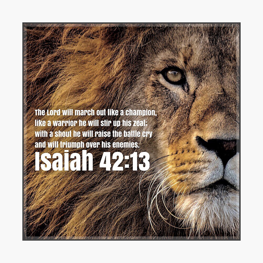 Brian Givens on X: &ldquo;There is only ONE undefeated warrior who is 