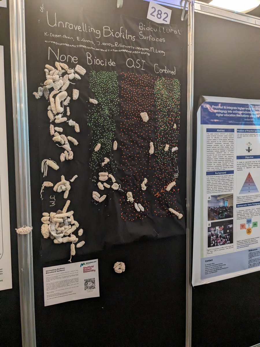 Super excited to present @UnravBiofilms Bio-cultural Surfaces project in the #Microbio24 Education and Outreach poster session today. 

Please come down and add to our yarn-based biofilms. 
@kelly_beanzzz @MicrobioSoc  

#crochet #knitting #crafts #biofilms #SciArt #Microbiology