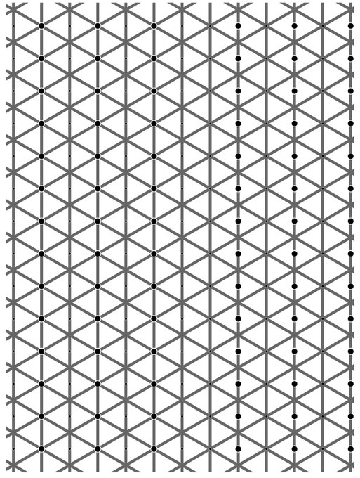 The extinction illusion: the left side and the right side have the same number of black dots