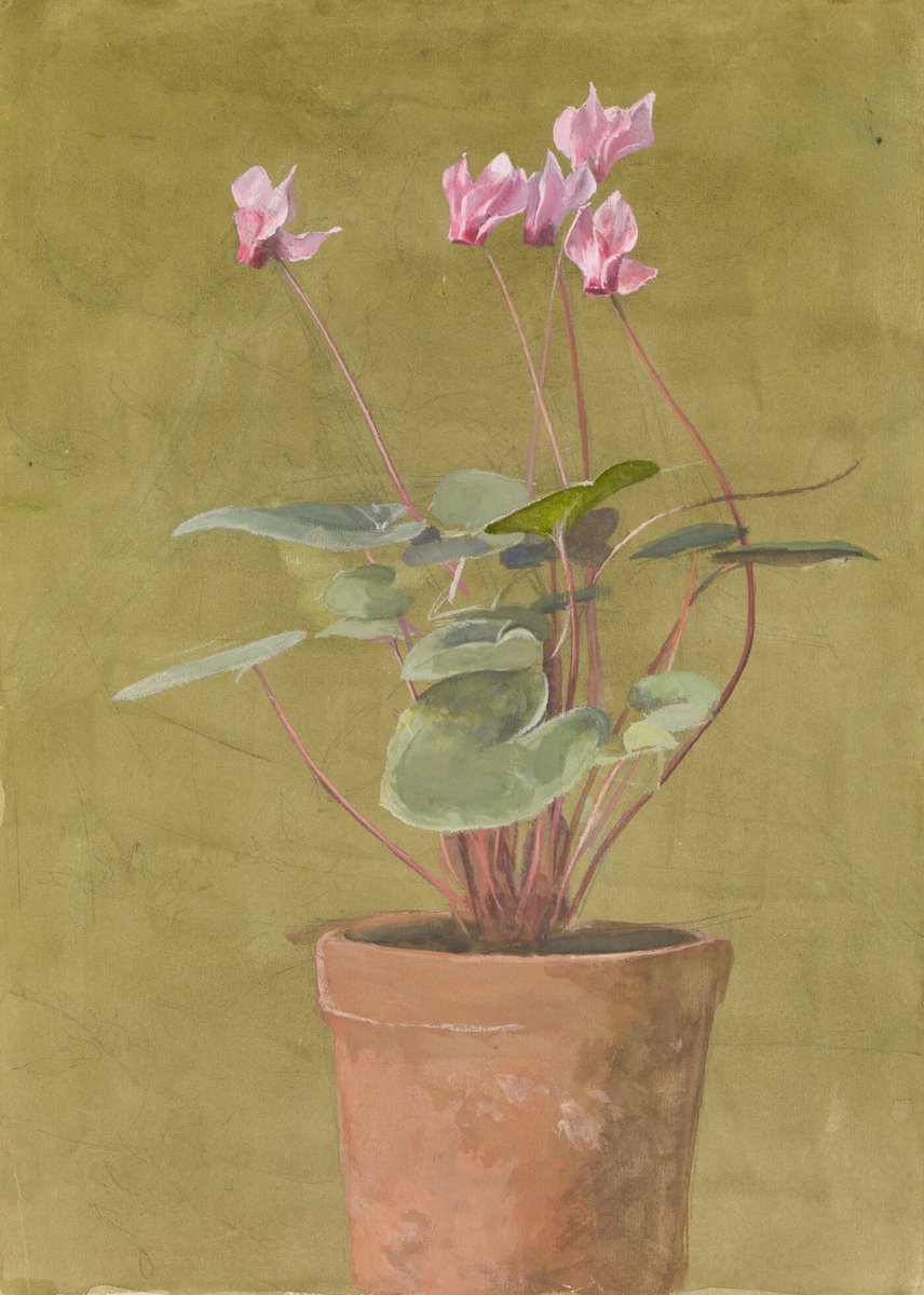 A founding member of the American Watercolor Society, Bridges specialized in floral still-life 🎨, creating works that combine disciplined naturalism with a sense of design informed by Japanese aesthetics: cartermuseum.org/collection/pin… @theamoncarter Pink Cyclamen Fidelia Bridges 1875