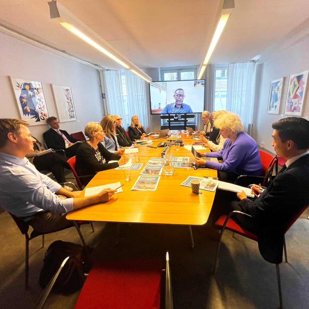 Thank you @SweMFA for inviting NAI for an in-depth discussion on the evolution of democracy in today’s Africa. Using Africa’s super-election-year as a starting point, participants discussed both democratic reversal and democratic maturity.
